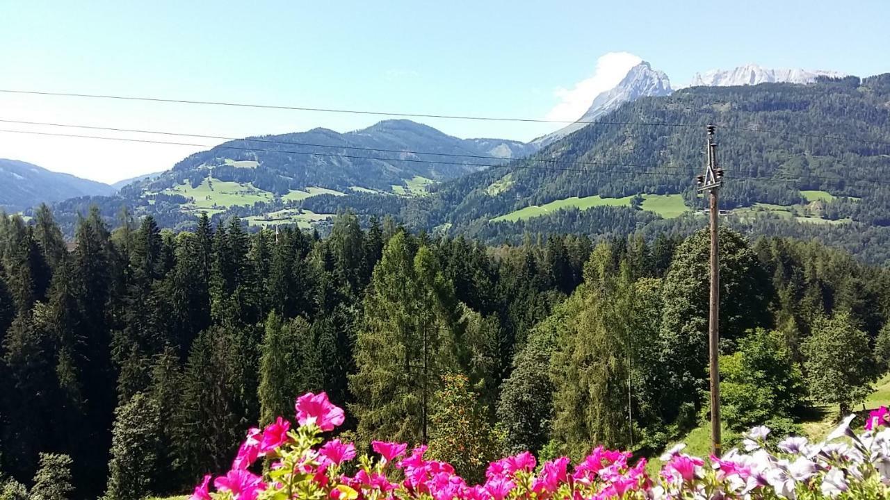 Ferienwohnungen Wimmer Bischofshofen Bagian luar foto